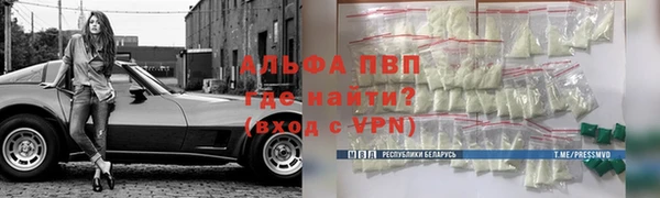 сатива Богородицк