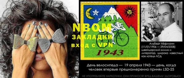 сатива Богородицк