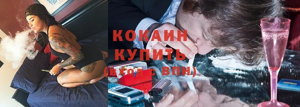 стафф Богородск