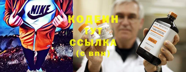 сатива Богородицк