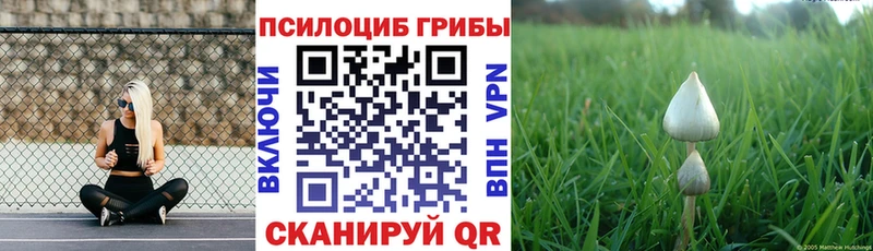 Псилоцибиновые грибы Psilocybe Нурлат