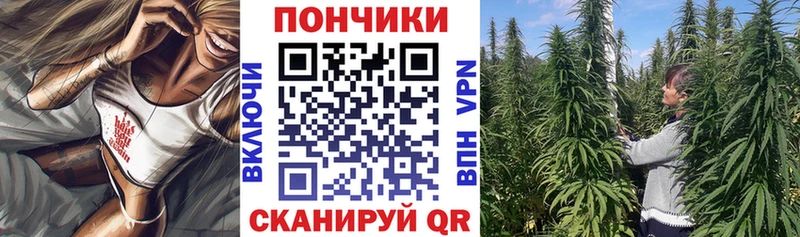 наркотики  hydra tor  Бошки Шишки план  Нурлат 